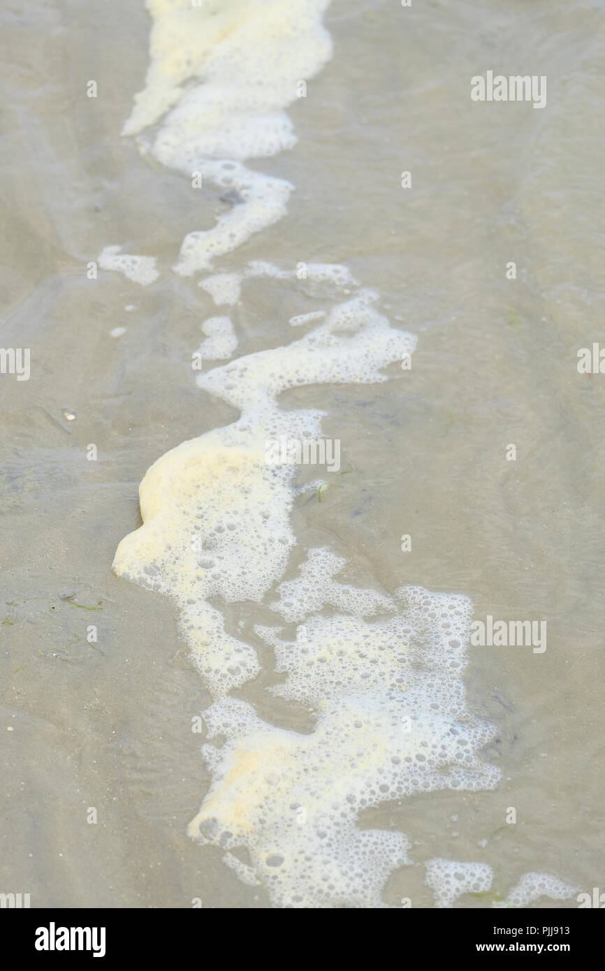 Color crema schiuma sulla spiaggia del Regno Unito a bassa marea nel tardo pomeriggio Foto Stock