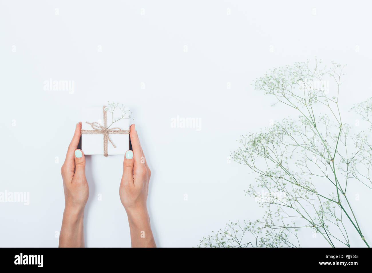 Donna di mani piccole confezione regalo legato con la corda vicino gypsophila Fiori su fondo bianco, vista dall'alto. Appartamento laici composizione minima di dare un pr Foto Stock