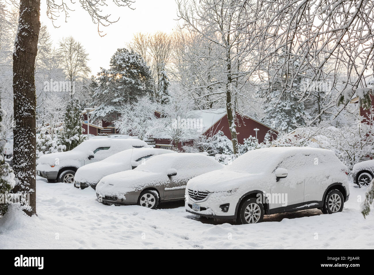 Automobili parcheggiate coperto di neve. Foto Stock