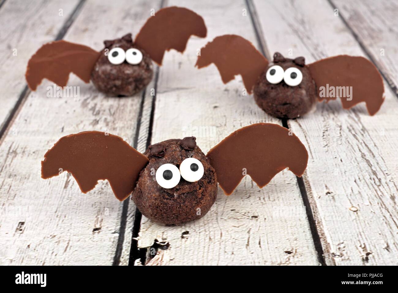 Halloween tartufo al cioccolato pipistrelli contro un bianco rustico sfondo legno Foto Stock