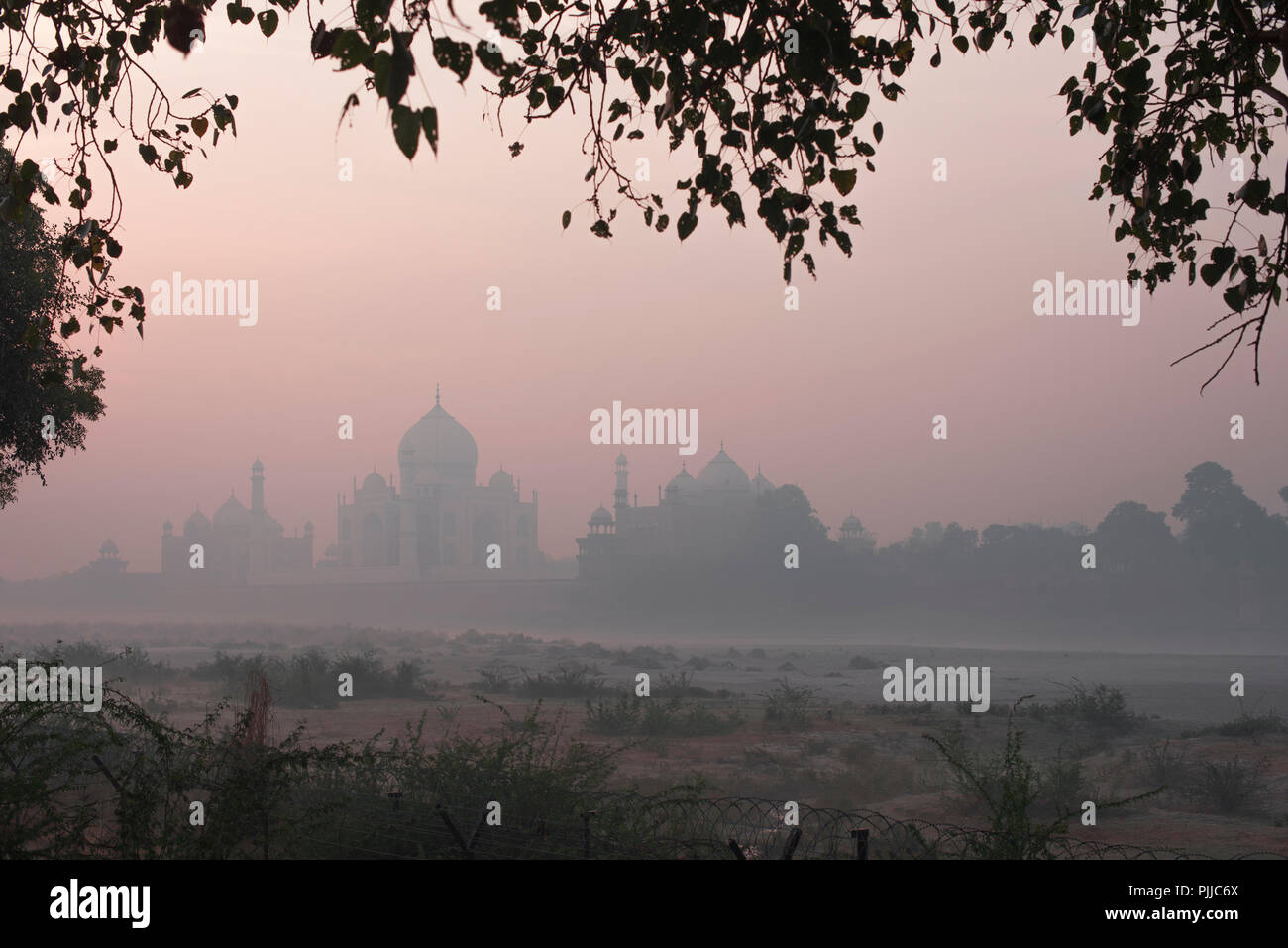 Taj Mahal la meraviglia del mondo e l'orgoglio di India in inverno la mattina presto una luce calda e haze con un secco letto del fiume Yamuna in primo piano Foto Stock