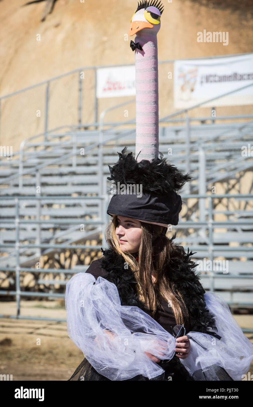 Virginia City, Nevada, Stati Uniti d'America. 7 Sep, 2018. Venerdì 7 Settembre, 2018.SOPHIE DICKEY, 12, originariamente da Carson City, attende per le gare di essere a 59th annuale internazionale di cammello e gare di struzzo presso Virginia City Arena e il centro fieristico in Virginia City, Nevada. Dickey, chi partecipa alla manifestazione con la sua madre, è stata prossimi alle gare per otto anni. La sua famiglia si trasferì in Colorado e la considerano un evento di reunion di sorta. Credito: Tracy Barbutes/ZUMA filo/Alamy Live News Foto Stock