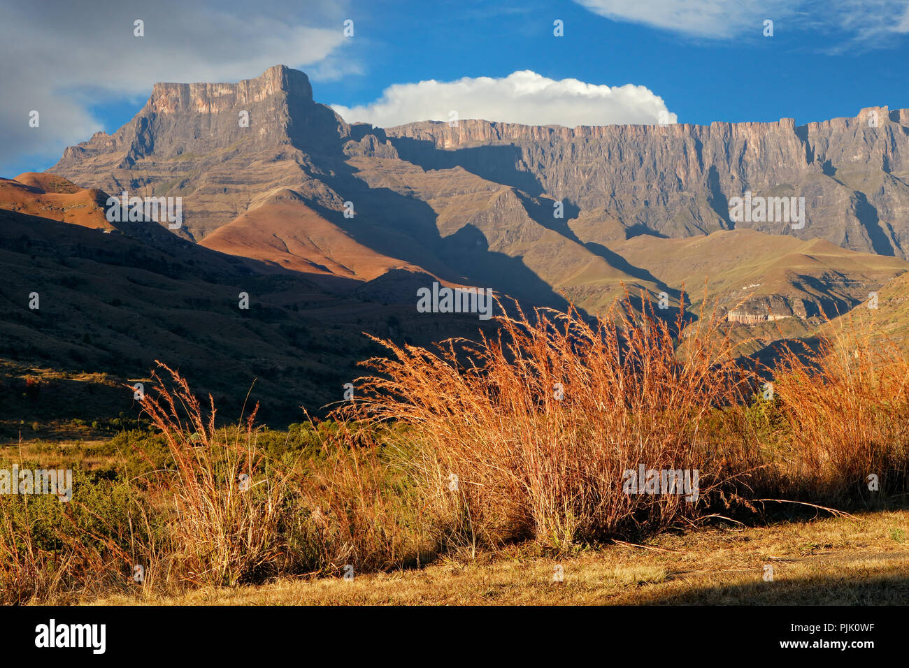 Erbe e anfiteatro delle montagne Drakensberg, Royal Natal National Park, Sud Africa Foto Stock