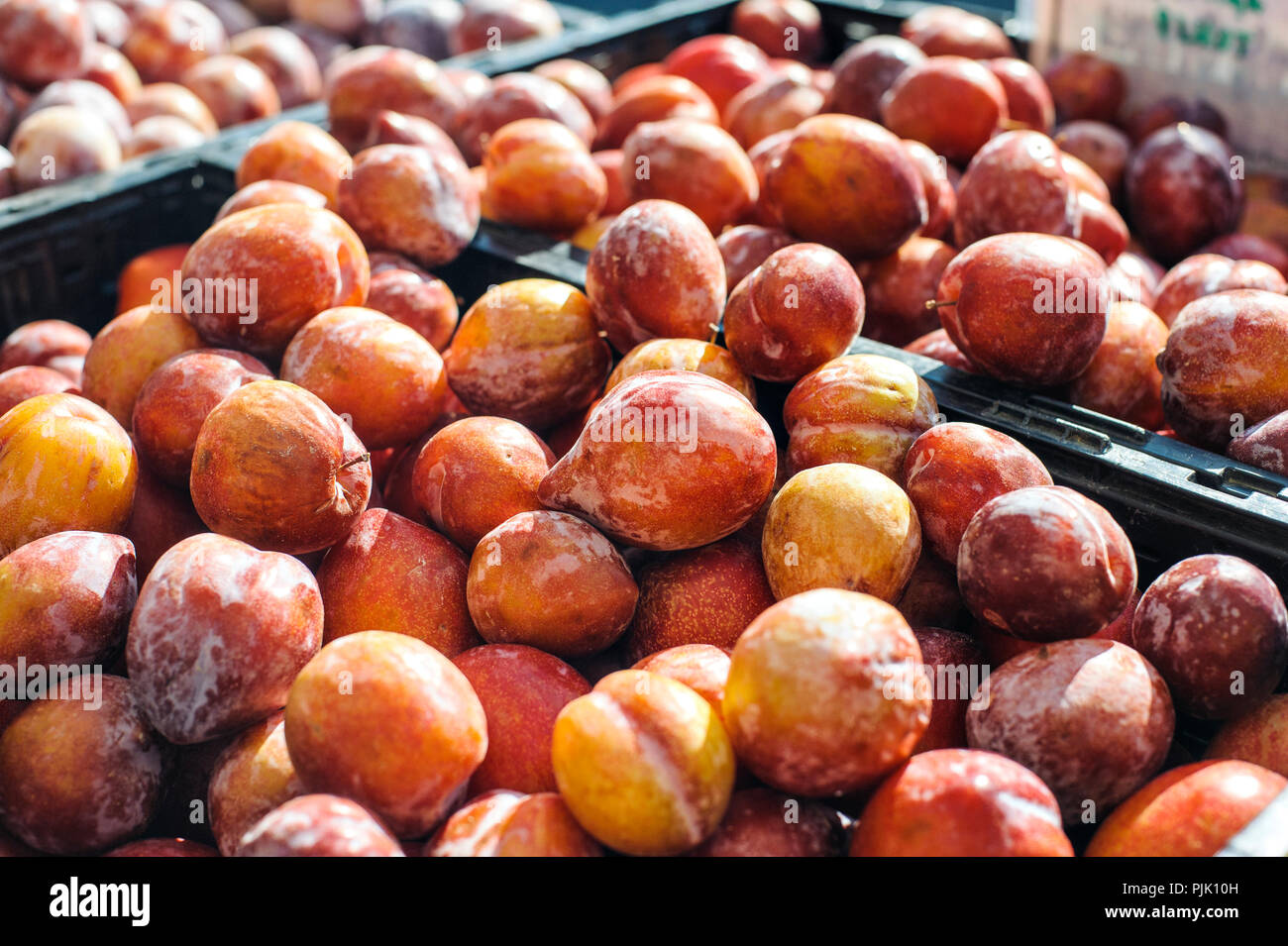 Mercato degli Agricoltori in stallo con scatole piene di amigo pluot frutti Foto Stock