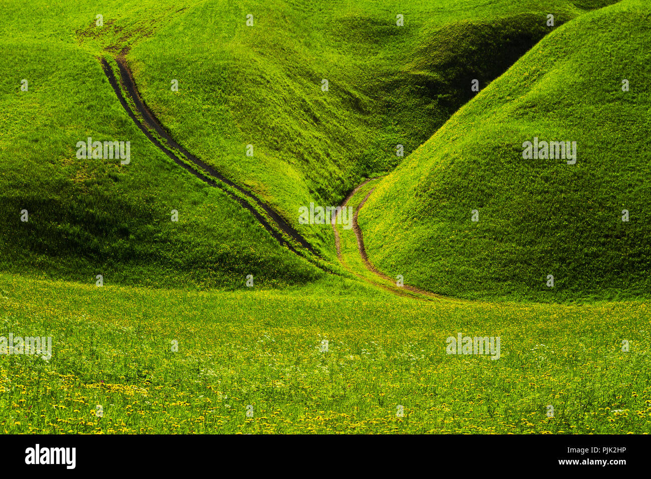 Austria, Tirolo, valle Thiersee, prato con percorsi Foto Stock