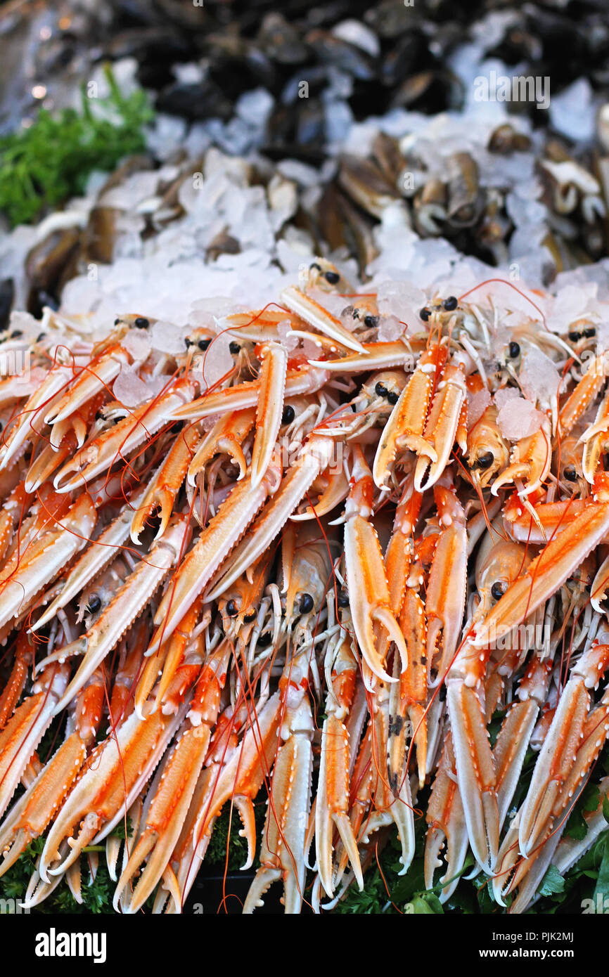 Freschi Scampi su ghiaccio al mercato Foto Stock