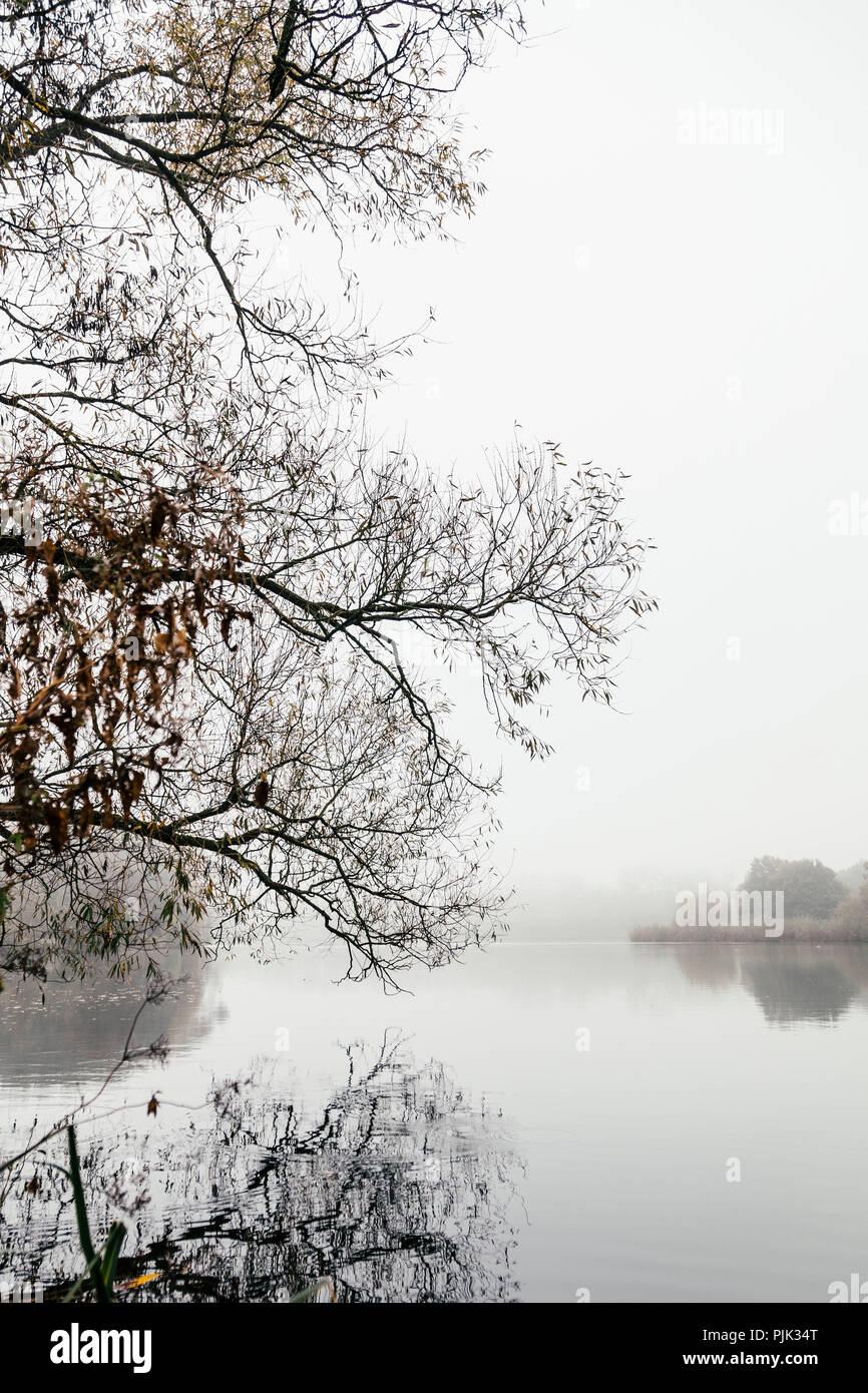 Una passeggiata attorno all'Obersee in Bielefeld (Schildesche) su una nebbia e giornata grigia in ottobre, Foto Stock