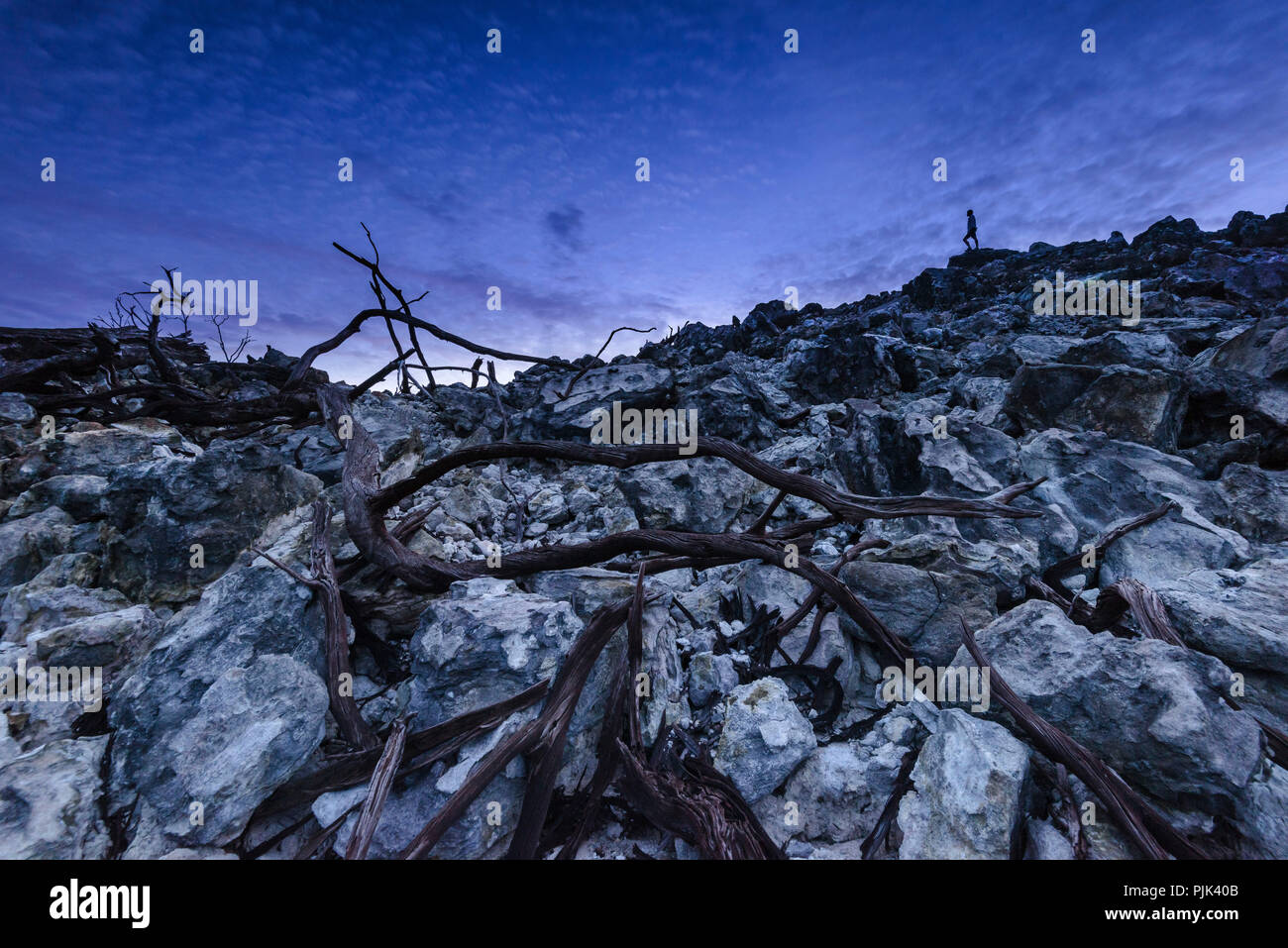 Dopo il tramonto sul vulcano di Pulau Weh, giovane donna in piedi all'orizzonte, in primo piano le rocce vulcaniche e deadwood, Foto Stock