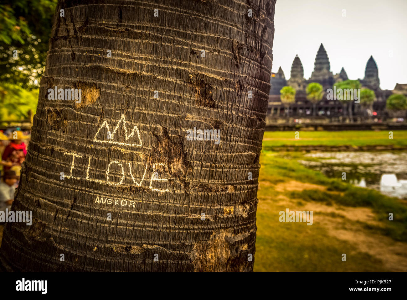 Asia, Cambogia Angkor Wat, Palm, il disegno e la scrittura "Io amo' Foto Stock