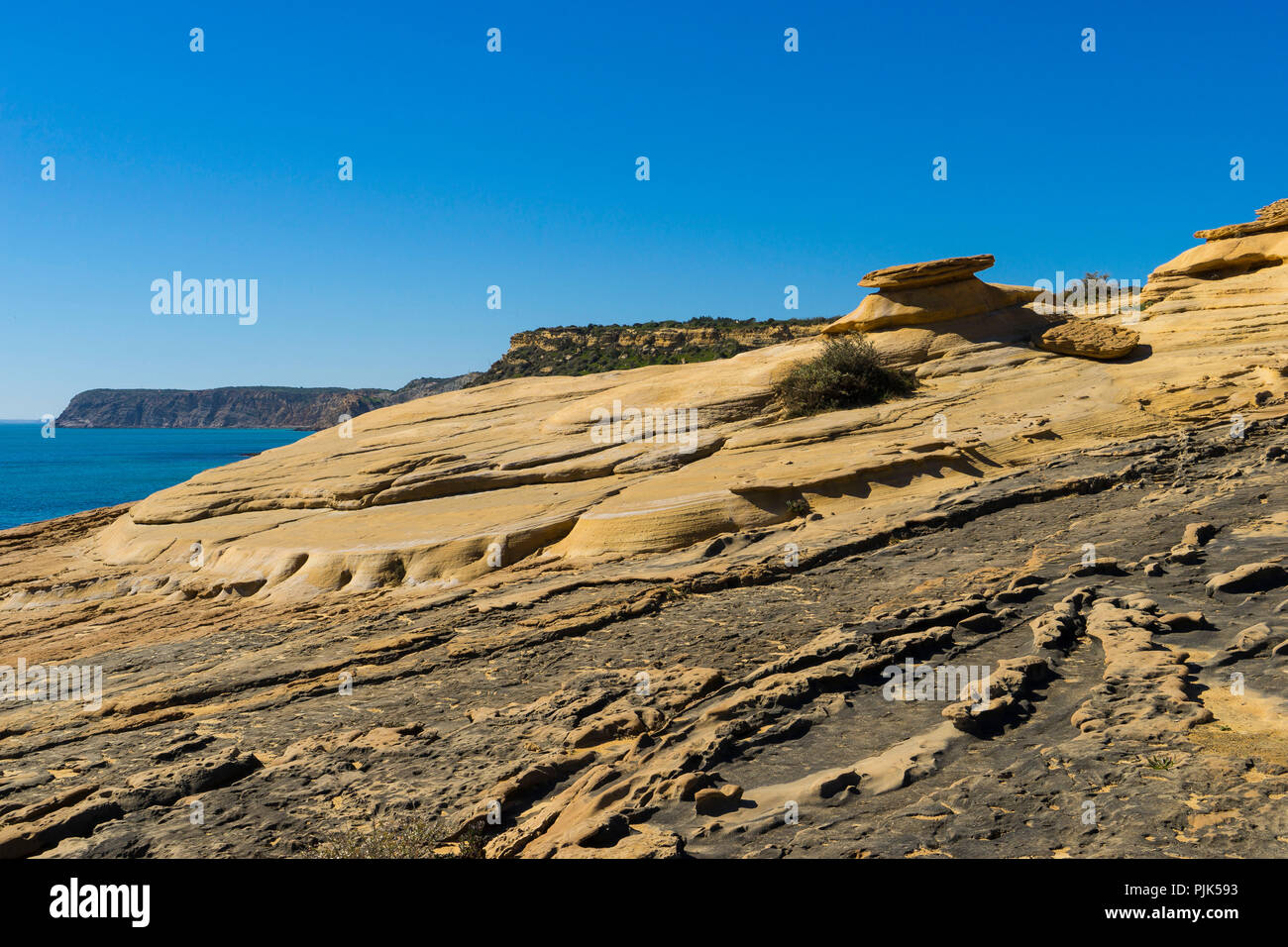 Impressioni da Atlantic il sentiero costiero da Luz, a ovest di Lagos, di salpe, lungo le imponenti coste rocciose di Atlantic nel Parque Natural do Sudoeste Alentejano e Costa Vicentina Foto Stock