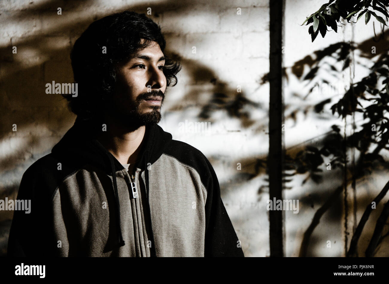 Ritratto di giovane uomo con la barba che indossa camicia e sfumature di alberi del parco Foto Stock