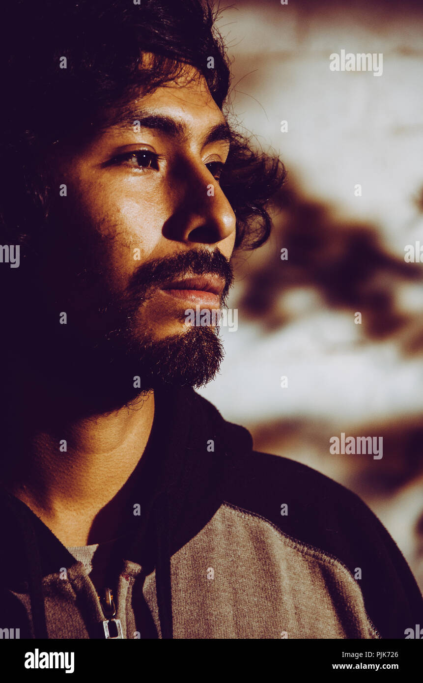 Ritratto di giovane uomo con la barba che indossa camicia e sfumature di alberi del parco Foto Stock