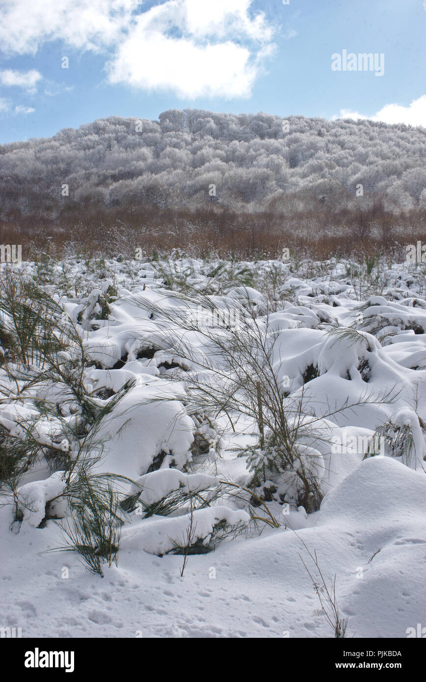 Paesaggio invernale in Auvergne, Francia. Presso il Ghoul Pass Foto Stock