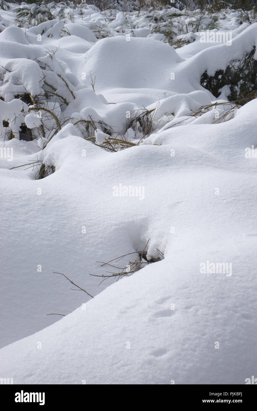 Paesaggio invernale in Auvergne, Francia. Presso il Ghoul Pass Foto Stock