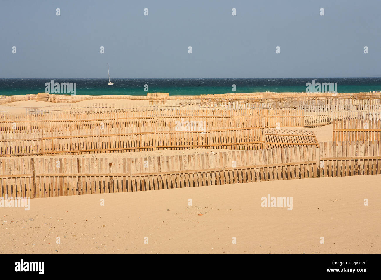Irregolare di recinti di legno su una spiaggia di sabbia fine e dorata in una giornata di sole a Tarifa, Andalusia, Spagna Foto Stock