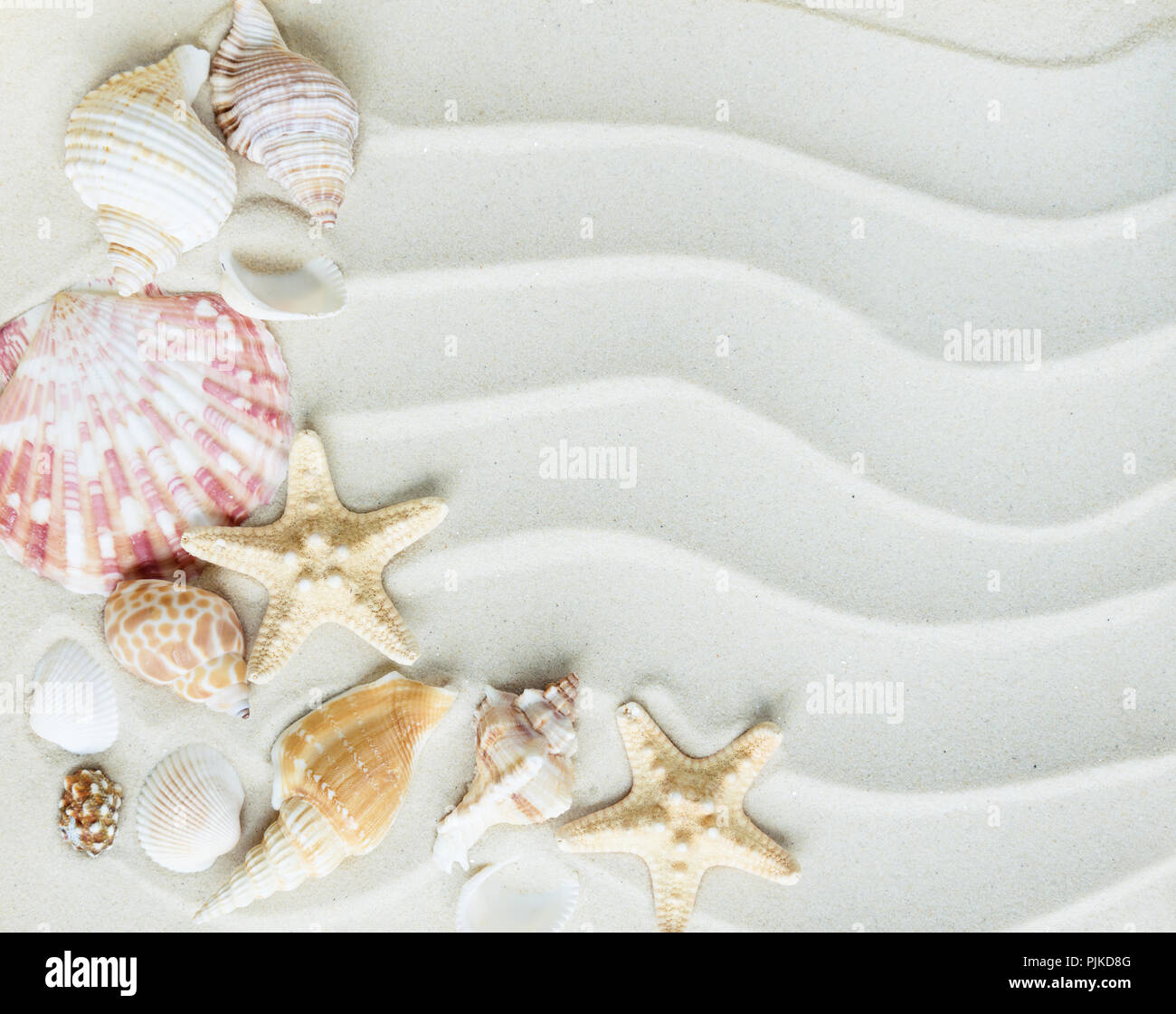 Bella cornice di vongole e starfishes sullo sfondo del mare ondeggiante sabbia Foto Stock