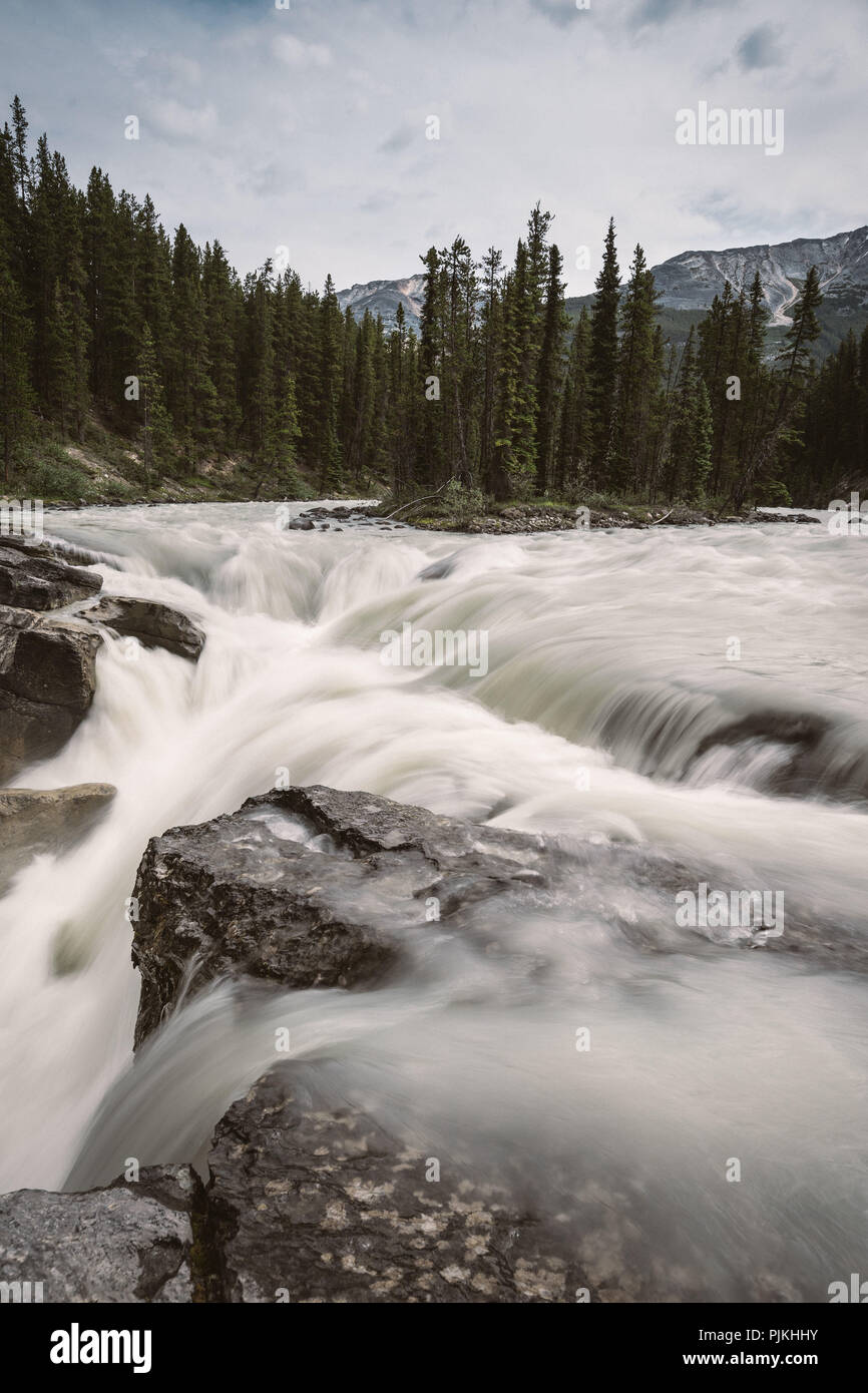 Sunwapta Falls, Jasper National Park, Canada Foto Stock