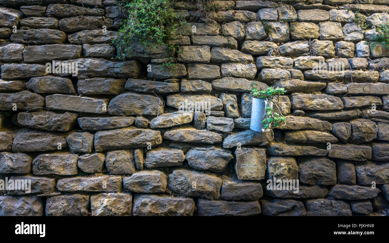 Il vecchio muro di pietra in Azillanet, decorata con piante Foto Stock