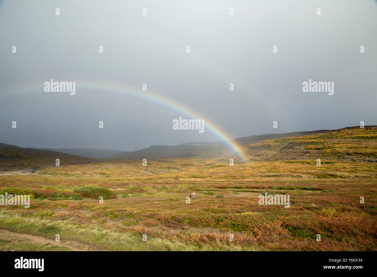 L'Islanda, il nord dell'Islanda, in autunno moor, doppio arcobaleno, i colori autunnali, cloud umore, pioggia Foto Stock