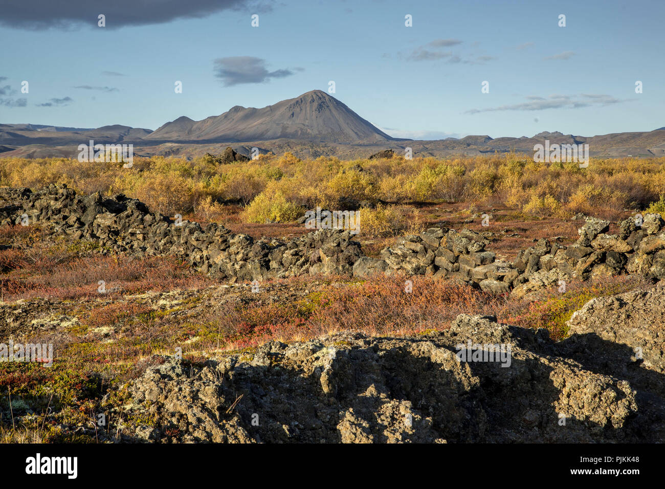 L'Islanda, Myvatn, muro di pietra naturale, foglie di autunno, sole di sera, montagne sullo sfondo azzurro del cielo Foto Stock