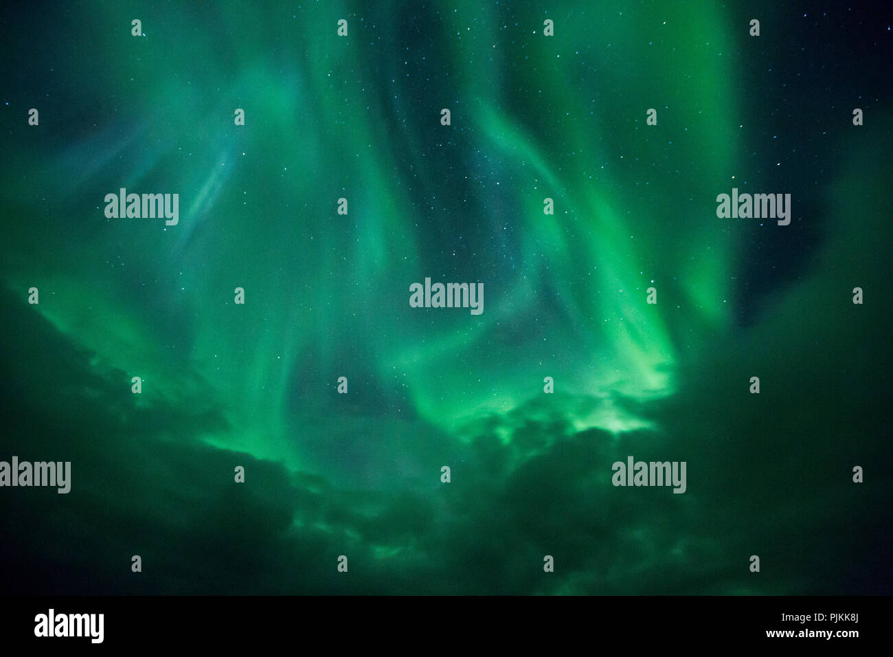 L'Islanda, polare, luce verde, cielo stellato con le nuvole Foto Stock