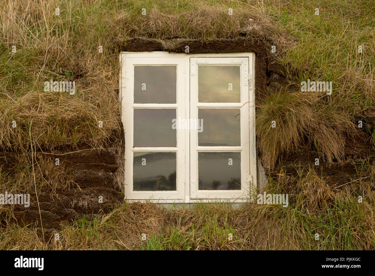 L'Islanda, islandese turf house, finestra bianca in una casa di torba, circondato da erba Foto Stock