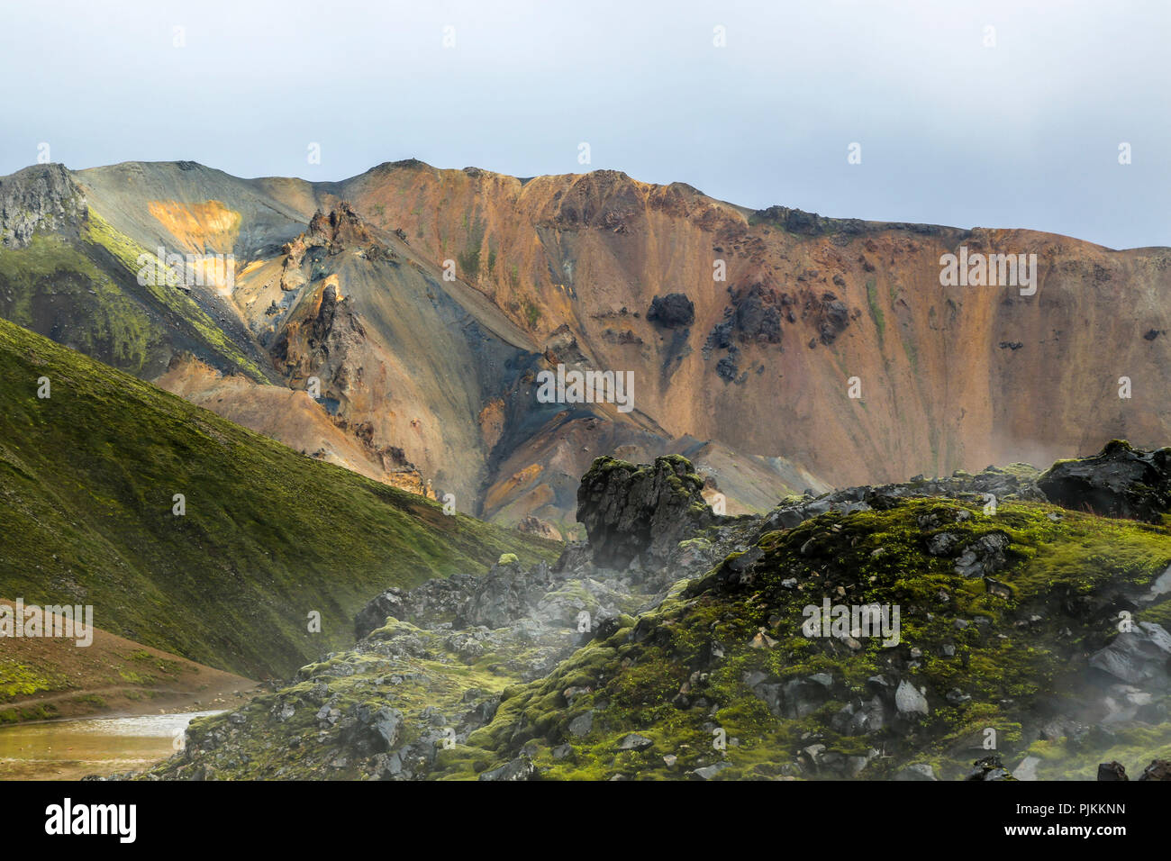L Islanda Landmannalaugar Verde Muschio Con Swath Di Vapore Nella Parte Anteriore Di Riolite Montagne Montagne Colorate Light Foto Stock Alamy