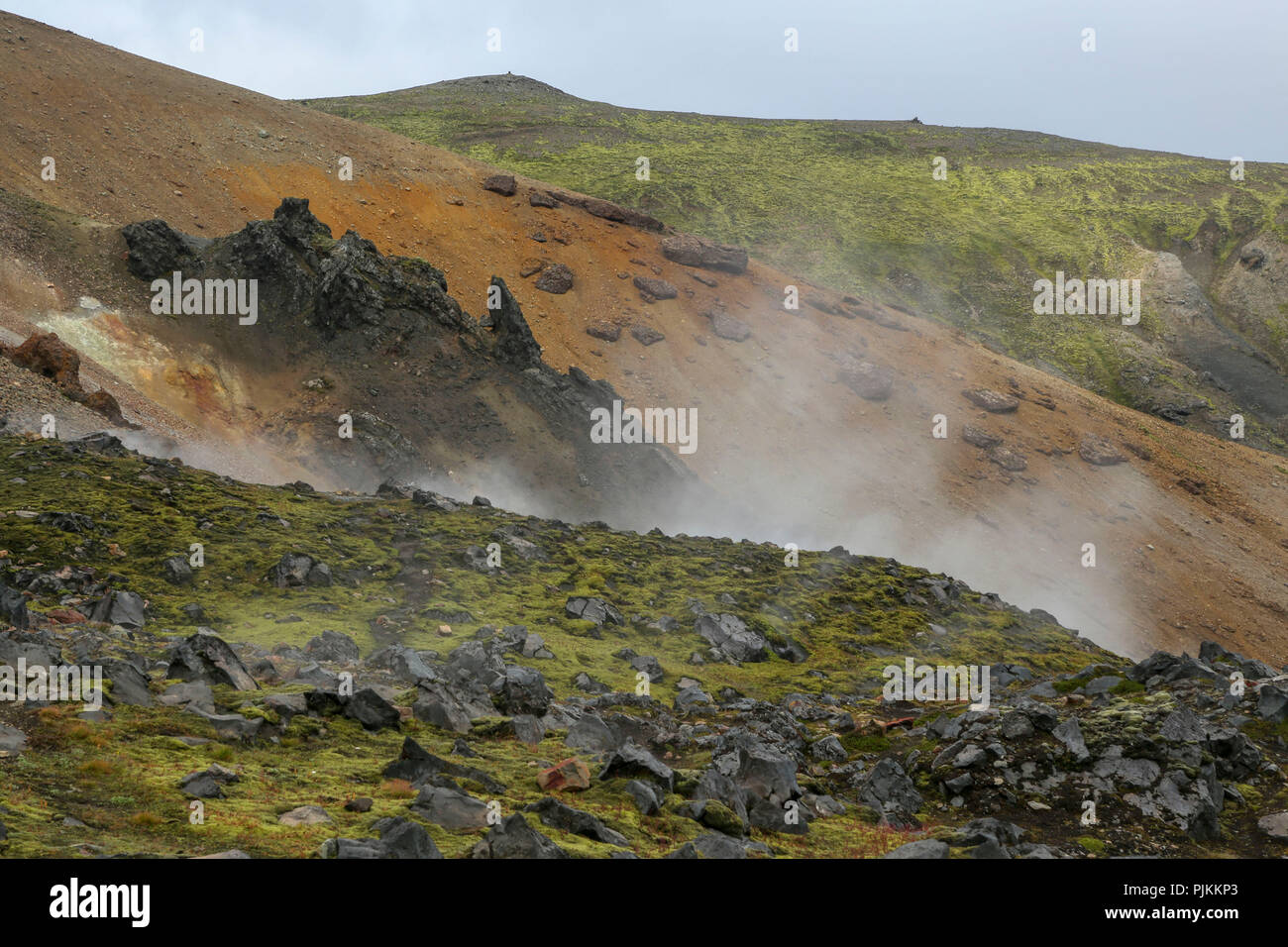 L Islanda Landmannalaugar Verde Muschio Con Il Vapore Si Rigonfia Nella Parte Anteriore Di Riolite Montagne Montagne Colorate Foto Stock Alamy