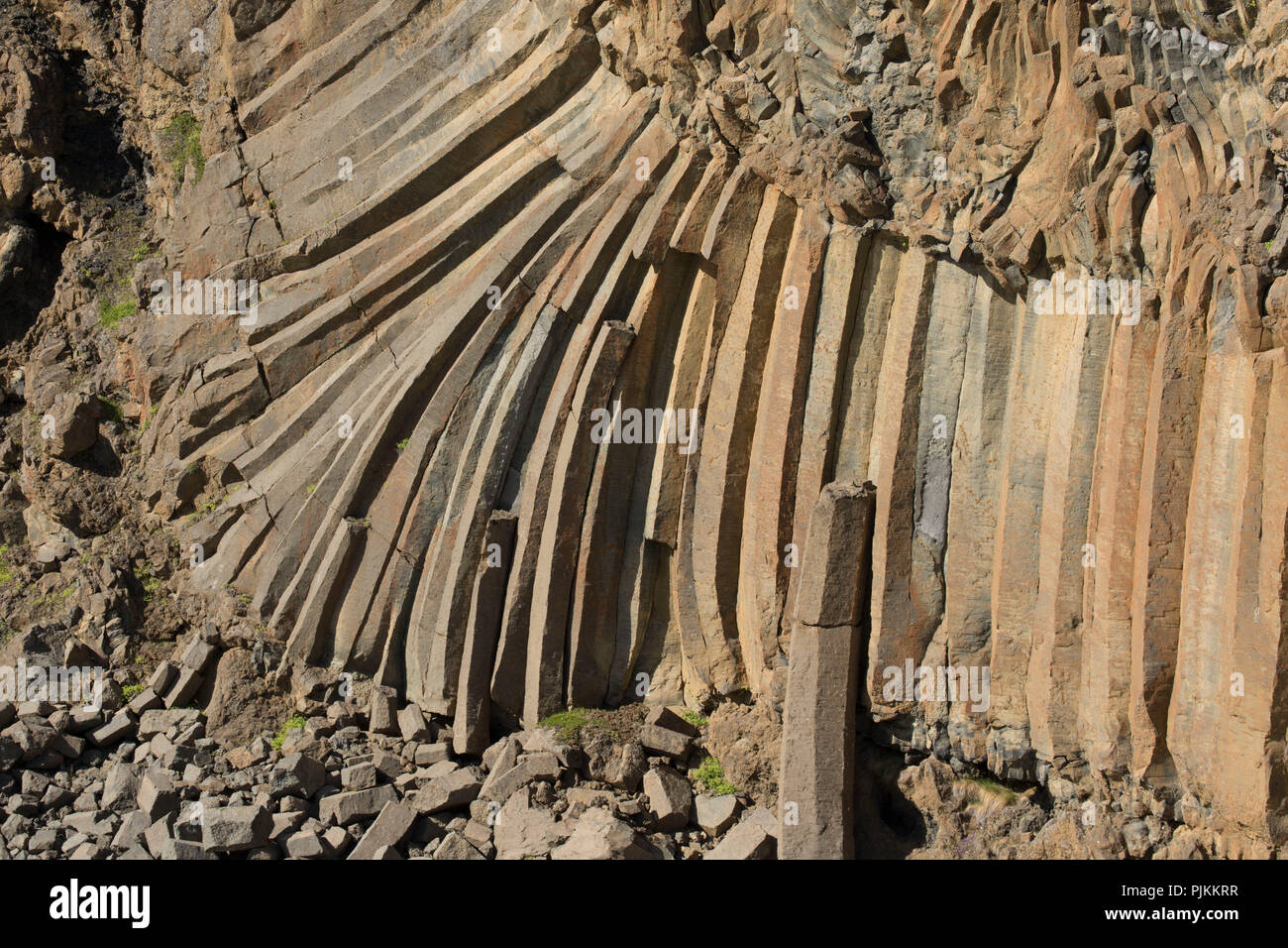 L'Islanda, altopiani, colonne di basalto a Aldeyjarfoss, Foto Stock