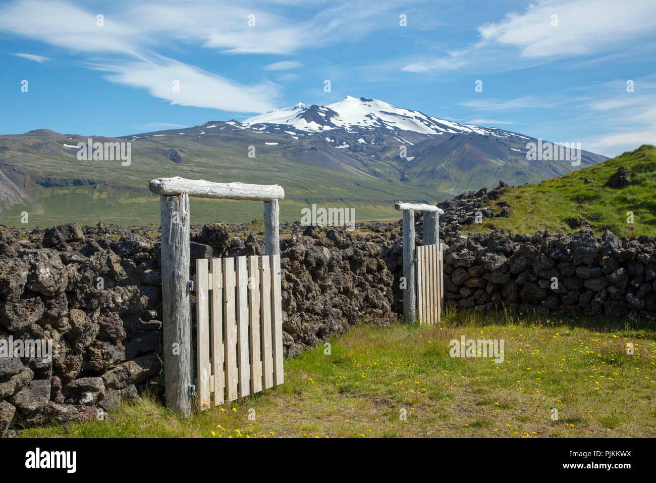 L'Islanda, vulcano Snaefellsjökull, Snaefellsnes peninsula, pecora versato, muri in pietra, cancelli in legno, bel tempo Foto Stock