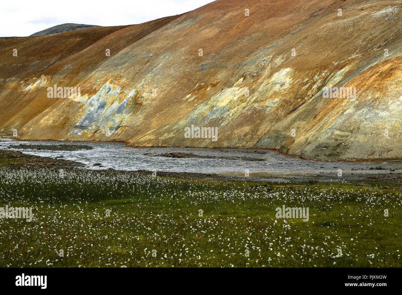 L'Islanda, il paesaggio colorato con stream, giallo riolite piste, cottongrass, Foto Stock