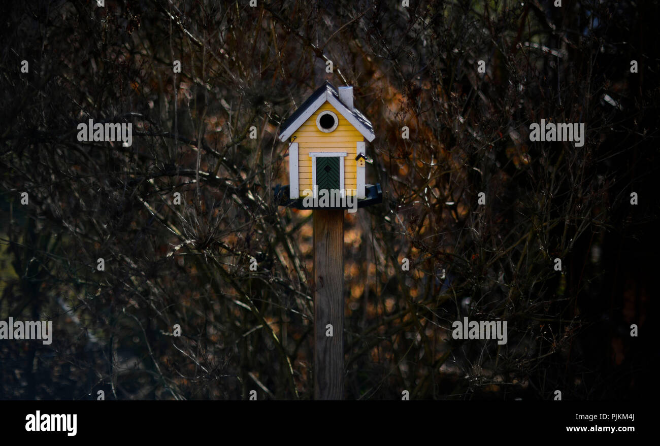 Birdhouse in stile scandinavo in giardino Foto Stock