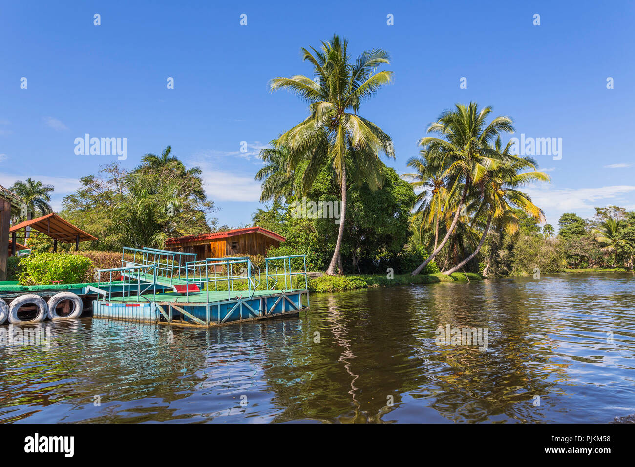 Il molo, Lago del Tresoro, zone umide, Guamá, provincia di Matanzas, penisola di Zapata, Cuba, la Repubblica di Cuba, Antille Maggiori, dei Caraibi e Oceano Atlantico Foto Stock