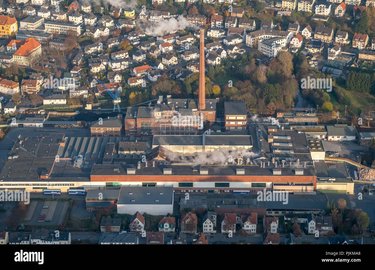 Fabbrica di carta di Arnsberg, RenoDeMedici Arnsberg GmbH, Arnsberg, zona della Ruhr, Nord Reno-Westfalia, Germania Foto Stock