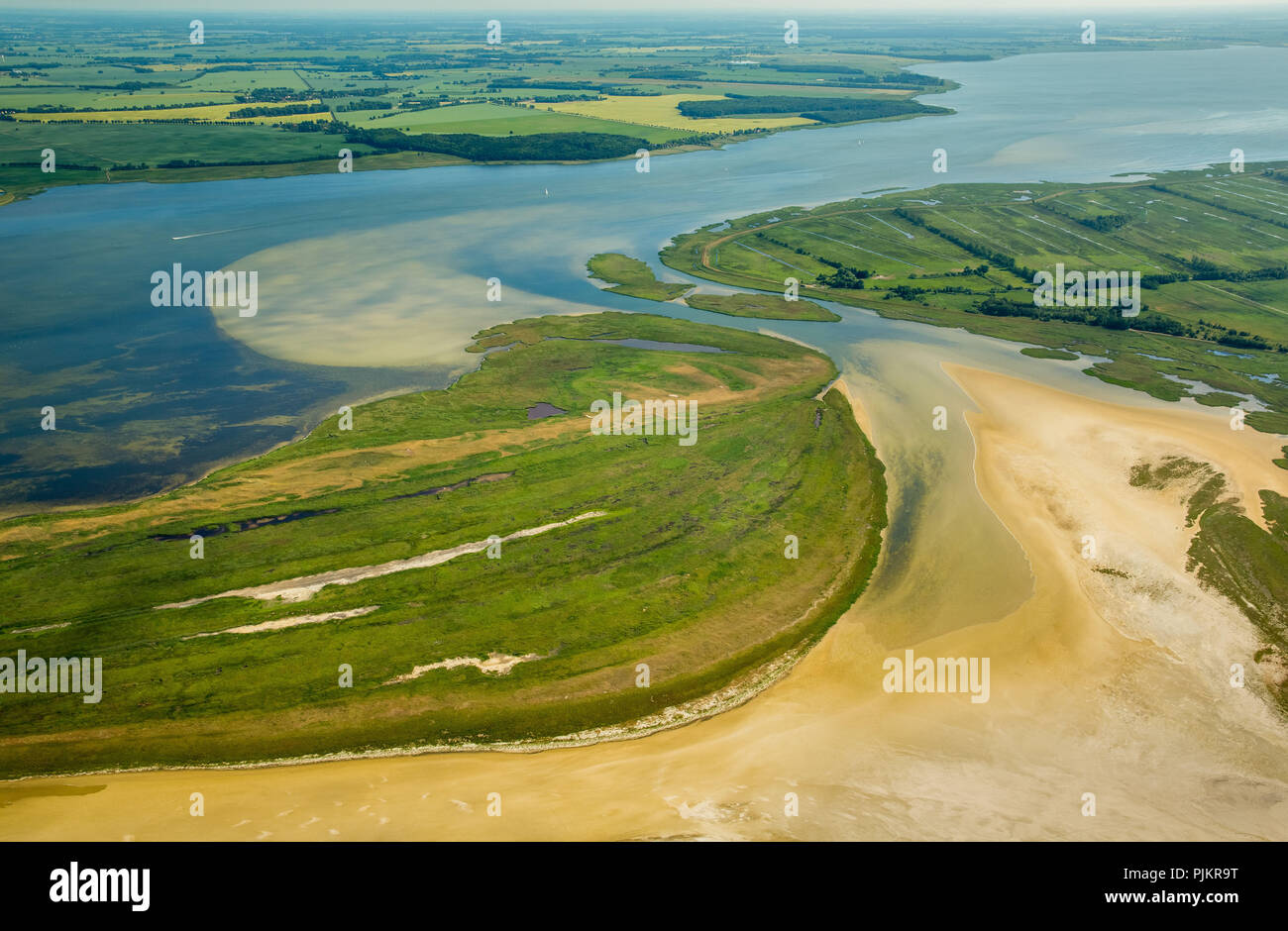 Zingst, Bodden, riserva naturale, Klausdorf, costa baltica, Meclemburgo-Pomerania occidentale, la Pomerania occidentale, Meclenburgo-Pomerania Occidentale, Germania Foto Stock