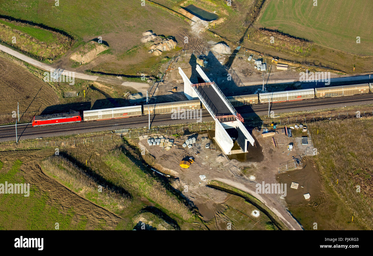 Betuwe-Lijne, merci linea ferroviaria linea ferroviaria Betuwe-Line, merci linea Betuwe, railroad crossing, bridge, Vrasselt sulla B8, Emmerich, Basso Reno, Nord Reno-Westfalia, Germania Foto Stock