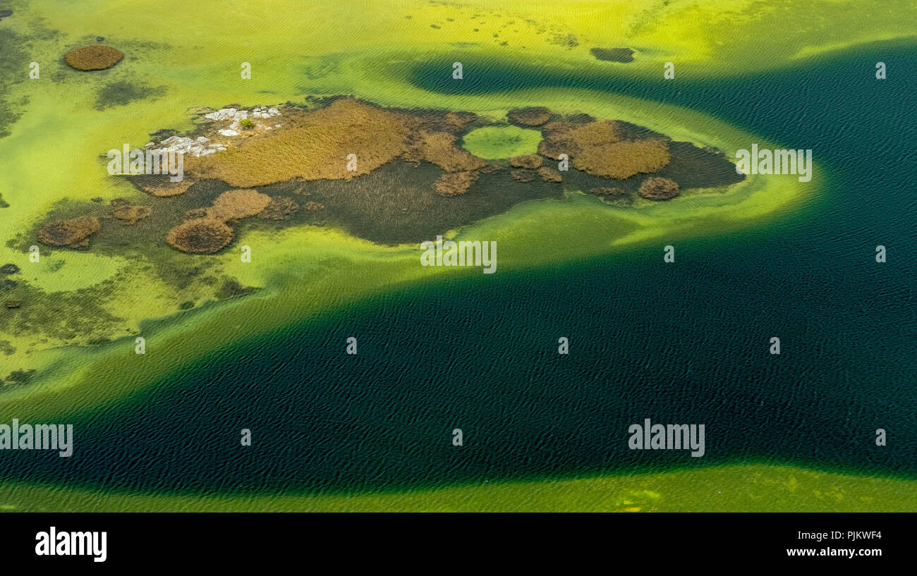 Piccoli laghi nel Burren rocce, Turloughs nel Burren, le alghe verdi Burren, riserva naturale, scogliere calcaree, chalk formazione di roccia, Mullaghmore, Burren, County Clare, Irlanda, Europa Foto Stock