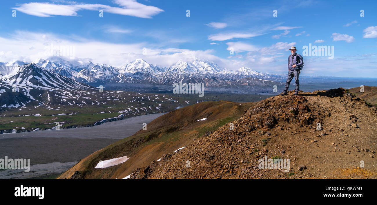 Vista del Monte Mckinlie e l'Alaskan compresa tra la fine del Eielson Sentiero alpino, Denalie National Park, Alaska Foto Stock