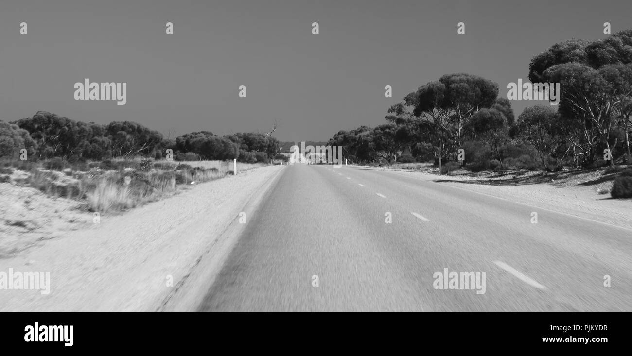 Sulla strada australiana, attraverso il Nullarbor. Foto Stock