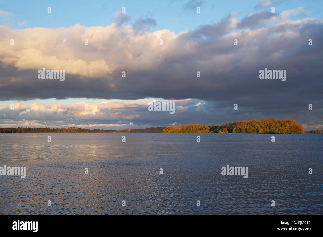 La colorata autumnally isole dell'Ascheberger Warder nel grande lago Plön nella luce del sole di sera. Foto Stock