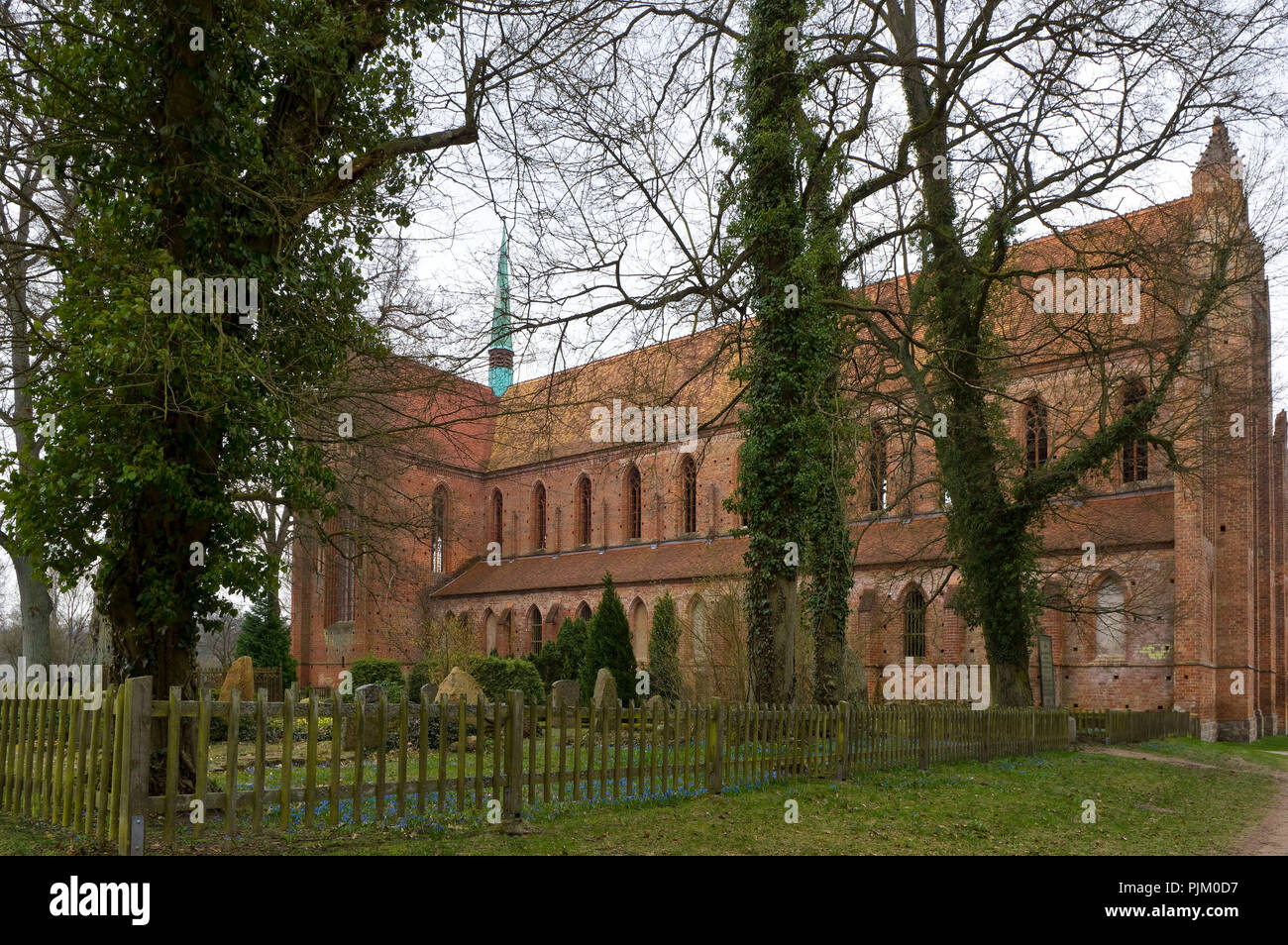 La Germania, il Land Brandeburgo, Uckermark, Chorin, monastero cistercense di Chorin, mattone basilica da 1273, il cimitero di fioritura e ostriche blu Foto Stock