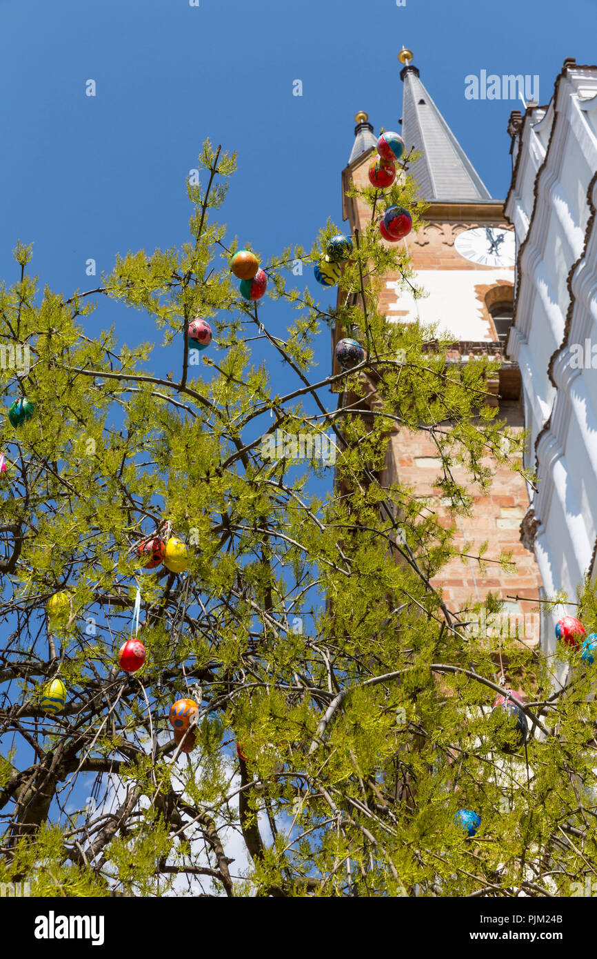 Albero di pasqua davanti alla chiesa evangelica, Bistrita, Bistrita, Beszterce, Transilvania, Romania, Europa Foto Stock