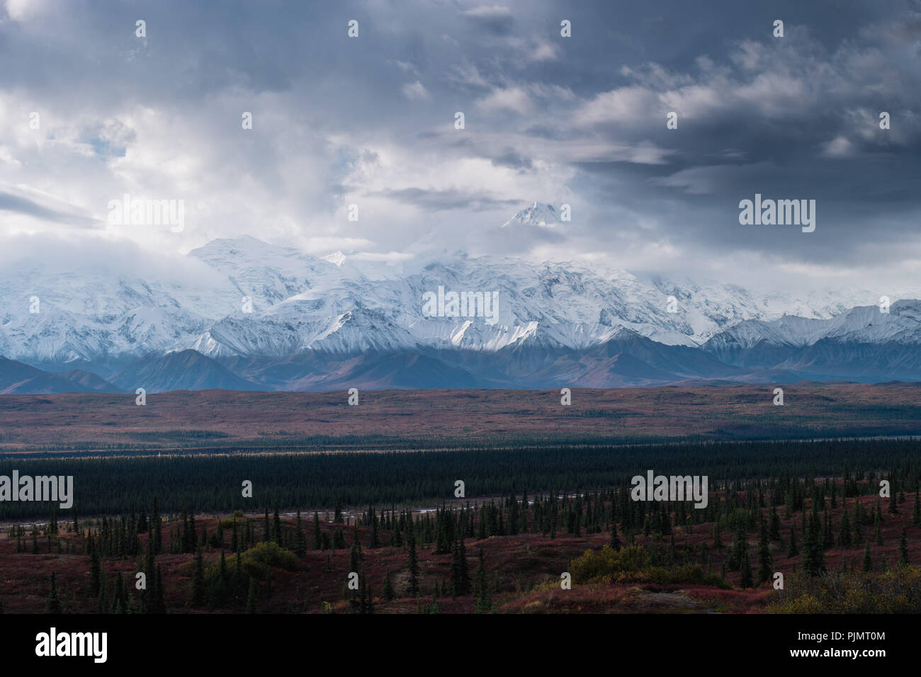 Autunnale di Denali National Park scenario in giorno nuvoloso, AK Foto Stock