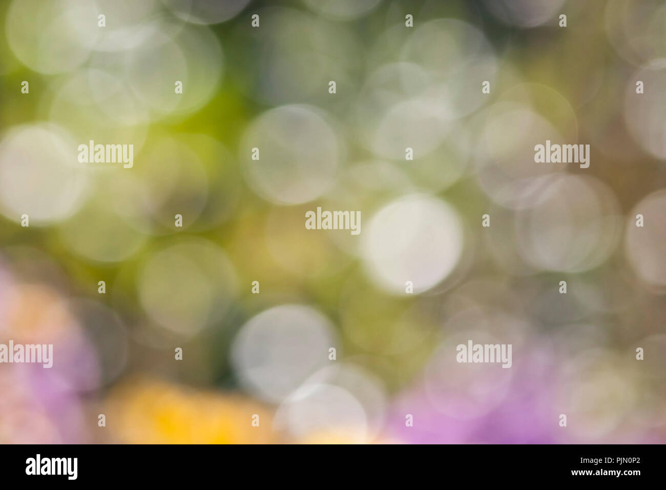 Ein unscharfer, farbenfroher Hintergrund Foto Stock