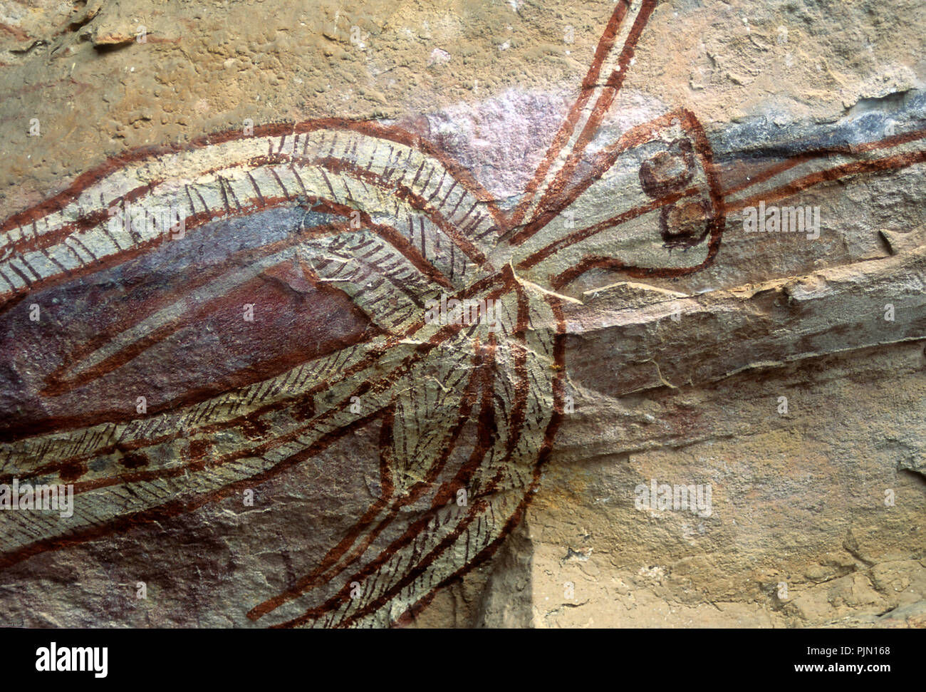 Arte rupestre degli Aborigeni Foto Stock