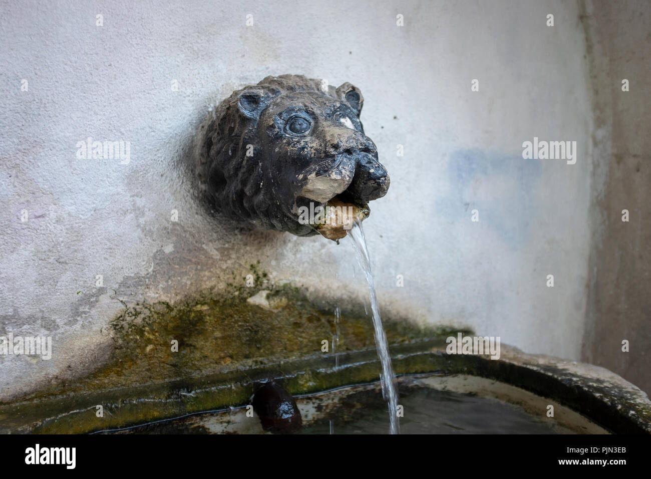 Testa di leone fontana beccuccio nel quartiere di Alfama di Lisbona, Portogallo Foto Stock