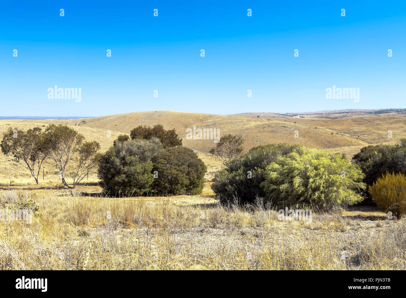 Uno sguardo al meraviglioso deserto australiano, Ein Blick auf die wunderschoene Australische Wueste Foto Stock