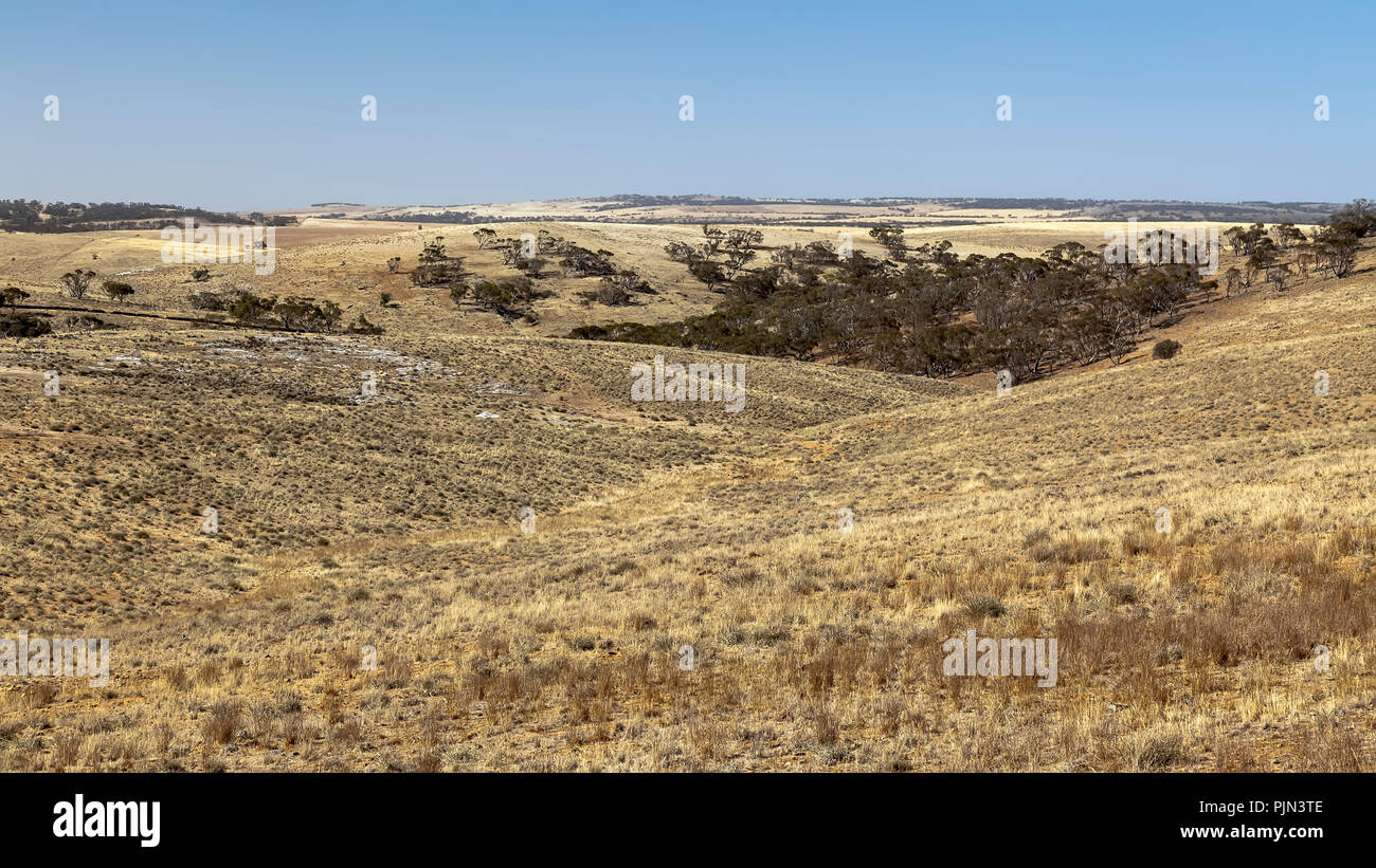Uno sguardo al meraviglioso deserto australiano, Ein Blick auf die wunderschoene Australische Wueste Foto Stock