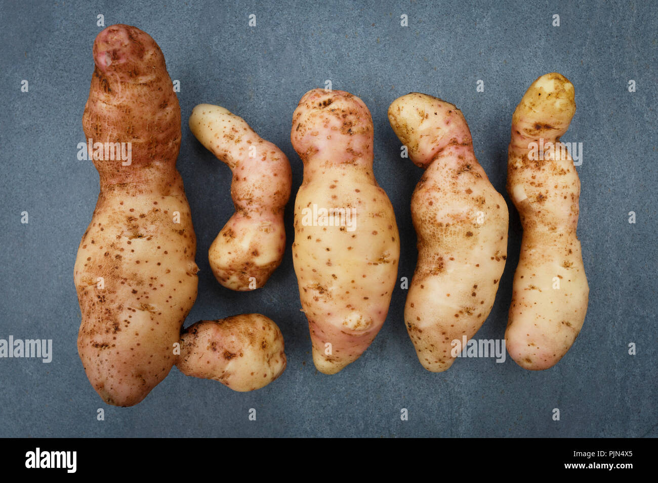 Wonky, patate misshaped fotografato all'aperto sull'ardesia Foto Stock