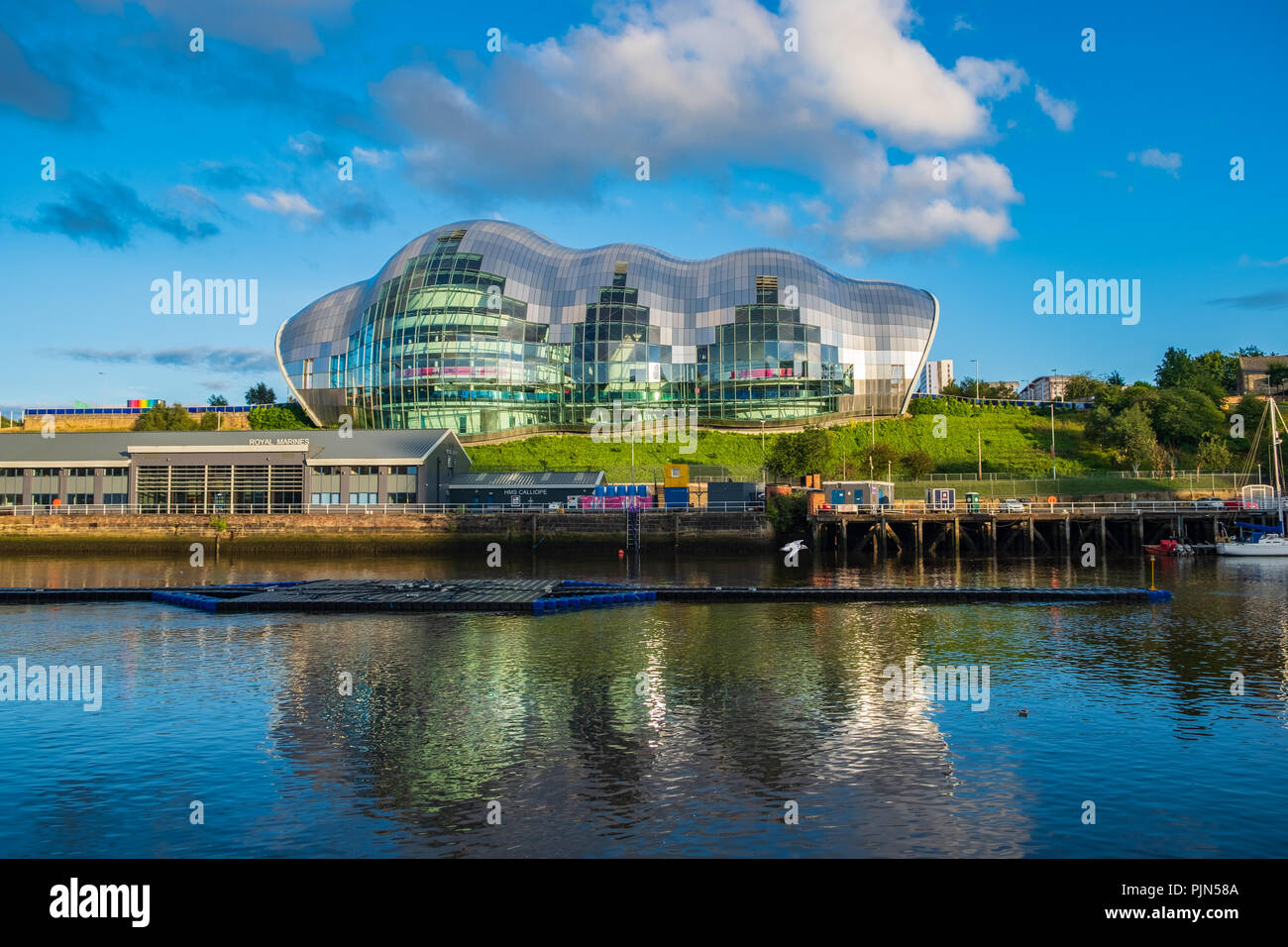 Newcastle, Inghilterra - Luglio 29, 2018: Sage Gateshead concert hall il Newcastle Gateshead Quayside come un gabbiano vola sopra fiume Tyne. Foto Stock